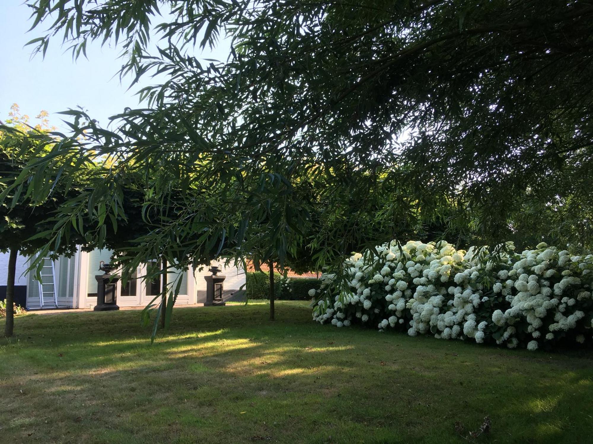 B&B De Tol Hulst Ngoại thất bức ảnh